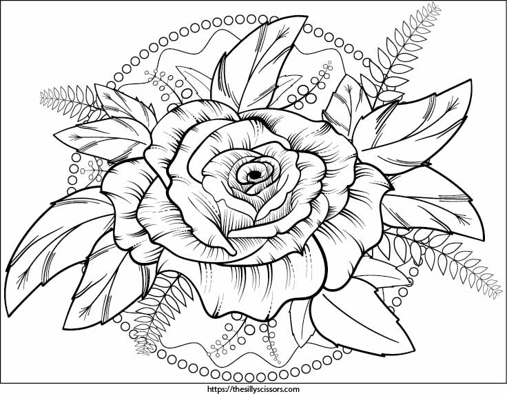 Rose