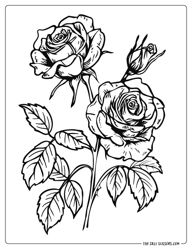 Two Blooming Roses and a Bud Coloring Page