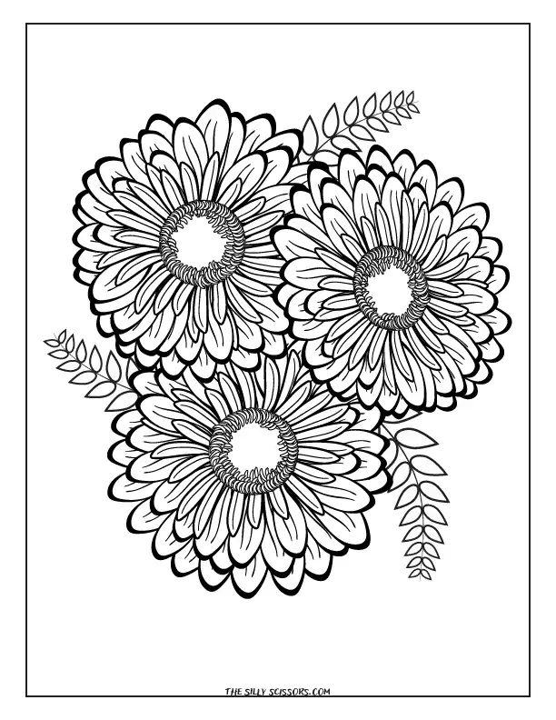 Pretty Daisies Coloring Sheet