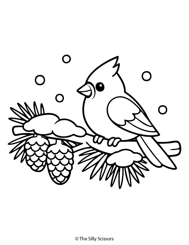 Cardinal perched on a snowy pine branch, winter bird coloring page with simple details.